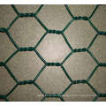 PVC coated Hexagonal Wire Mesh